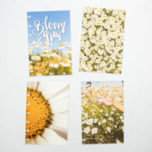 Kit Decor Margaridas