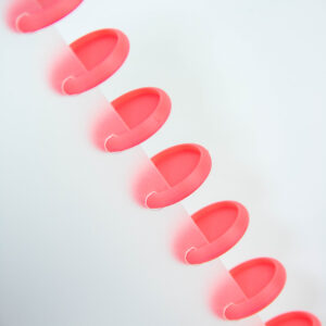 Alternative view of Discos Coral